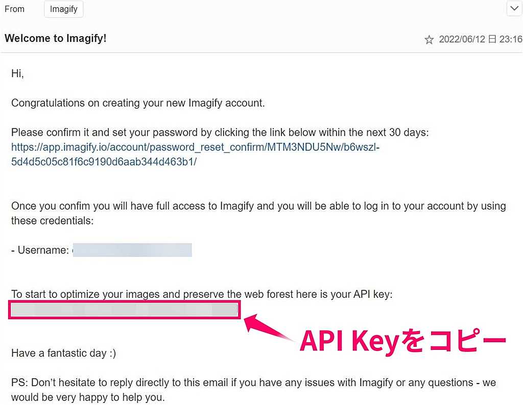 届いたメールの API KEY